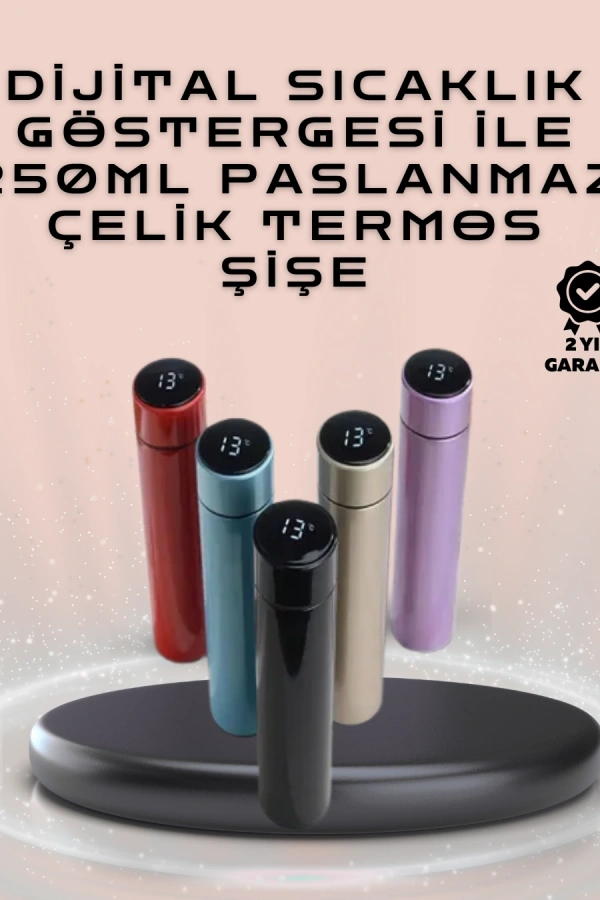 250ml LED Ekranlı Paslanmaz Çelik Akıllı Termos
