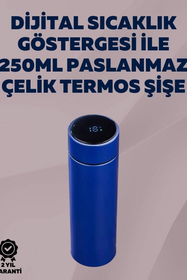250ml LED Ekranlı Paslanmaz Çelik Akıllı Termos