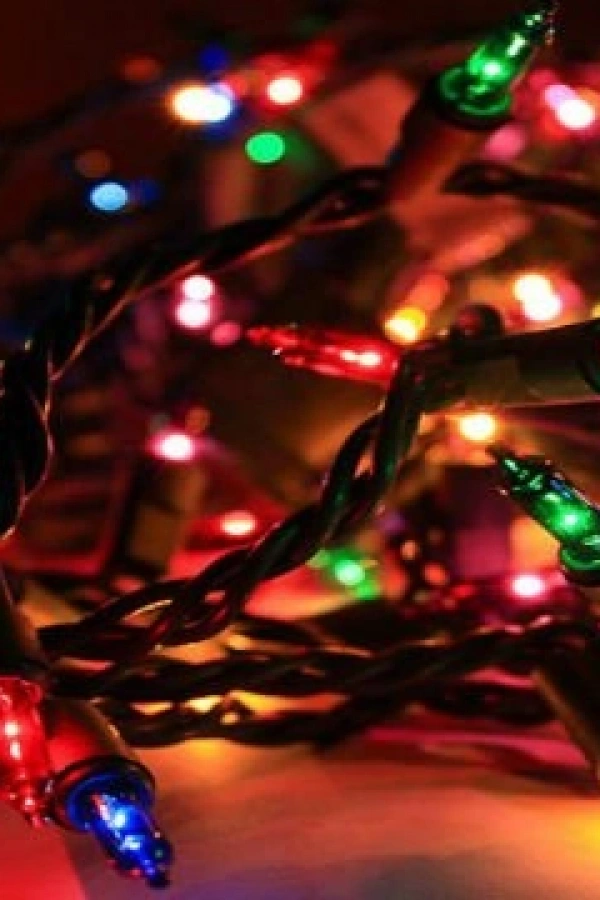 30 Ledli Pirinç Renkli Yılbaşı Ağacı Işığı