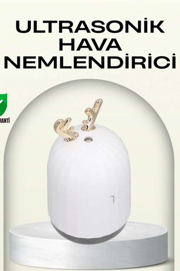 ABS+PP Malzemeli Taşınabilir 220 ml USB Mist Nemlendirici