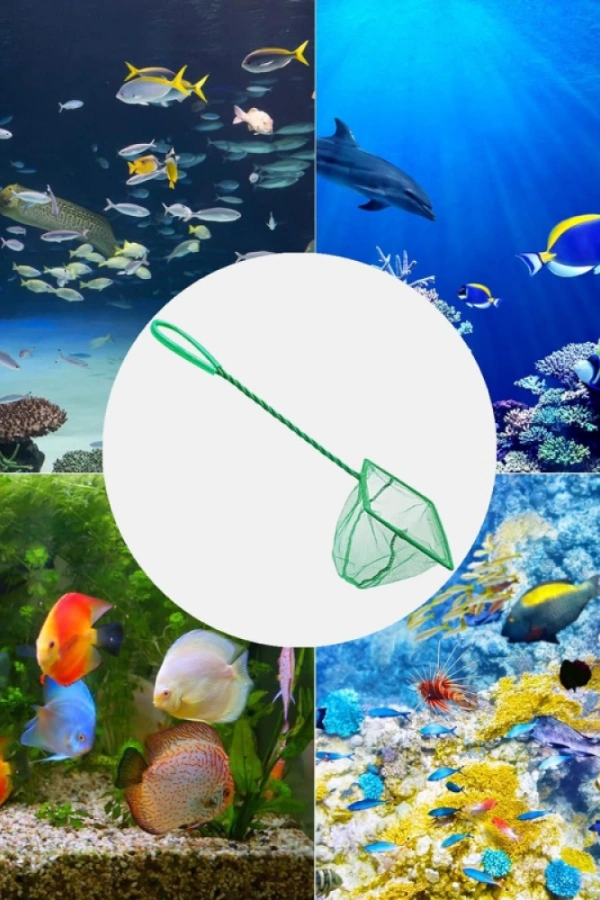 Akvaryum Balık Kepçesi 10 CM