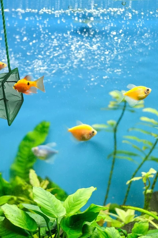 Akvaryum Balık Kepçesi 7.5 Cm.