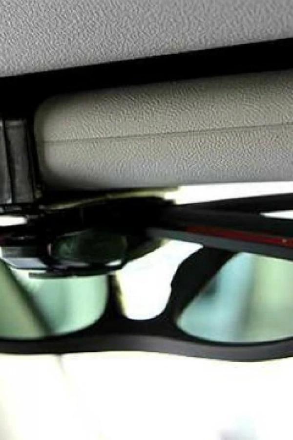 Araba Gözlük Tutacağı Klips ( 2 Adet )