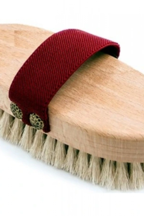 At Kılı Elbise Fırçası