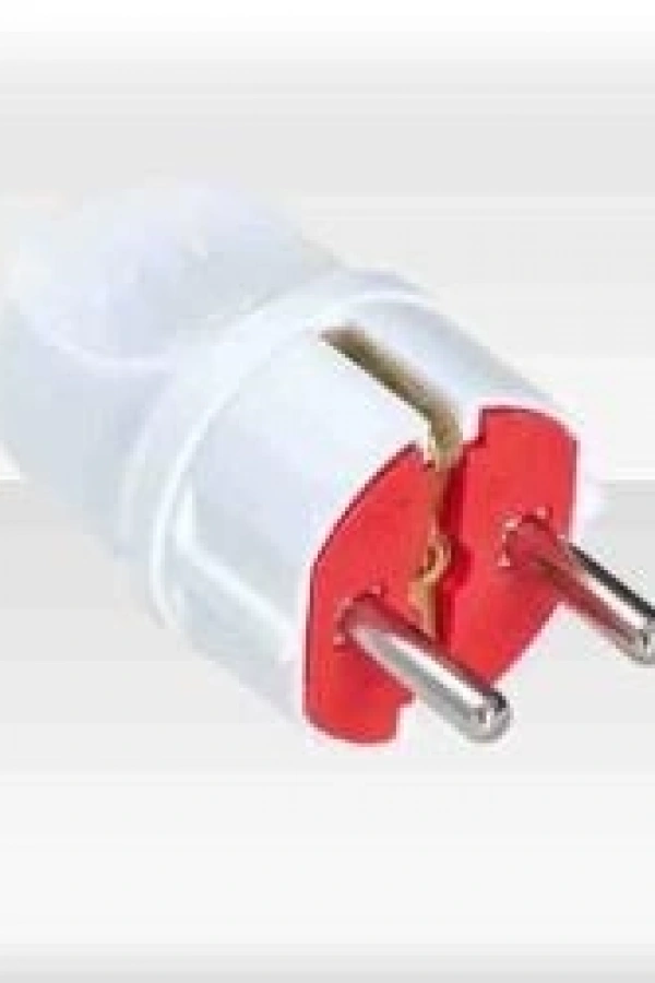 Ay-Ka Erkek Topraklı Fiş (1 Adet)