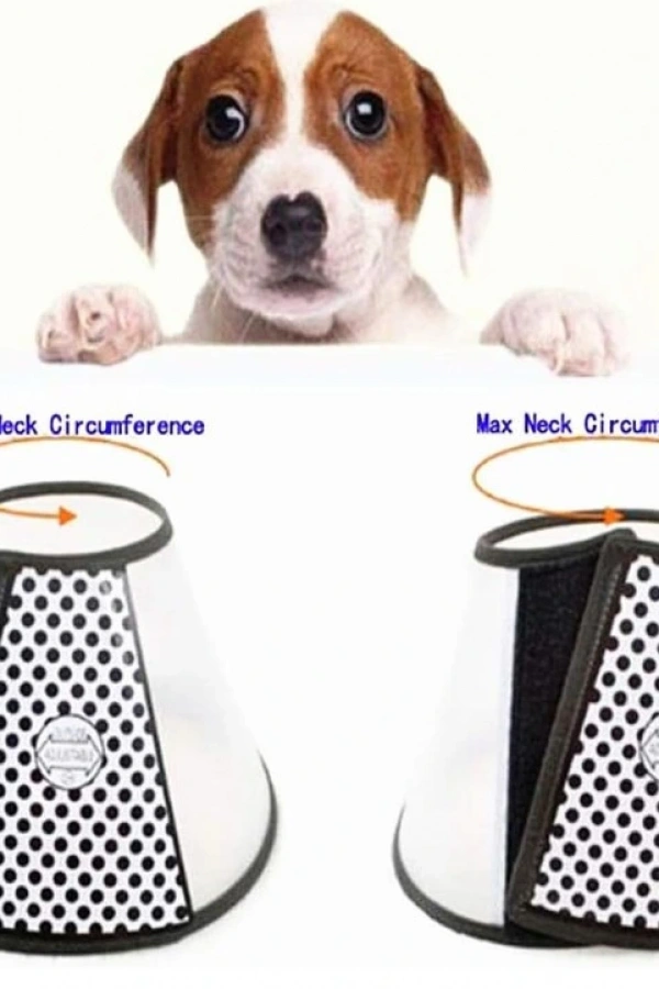 Ayarlanabilir Koruyucu Yaka 2 Numara