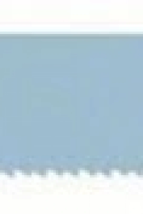 Bosch S 1122 BF Metal Kesme Panter Testere Bıçağı