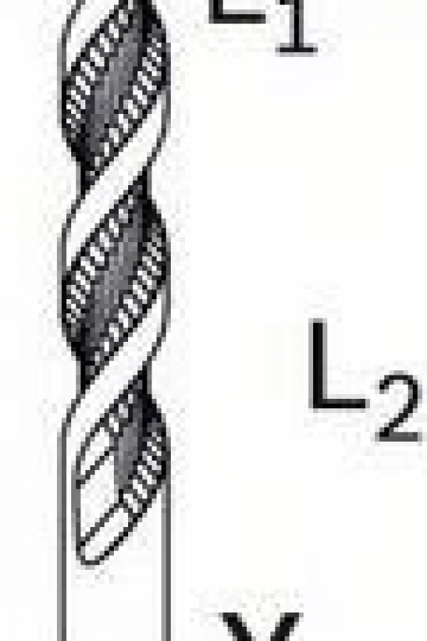 Bosch SDS PLUS-1 7X160 Matkap Ucu