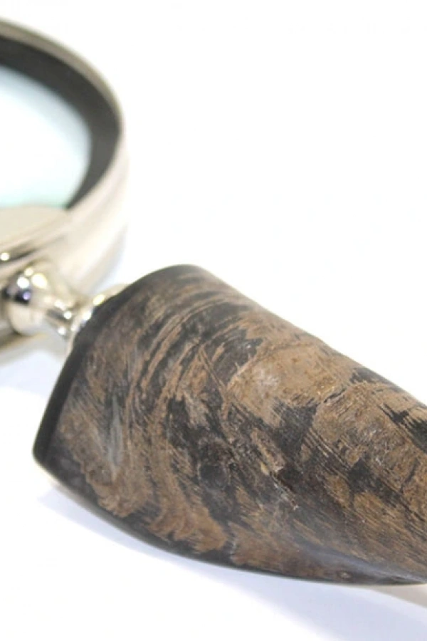 Boynuz Büyüteç Model 3