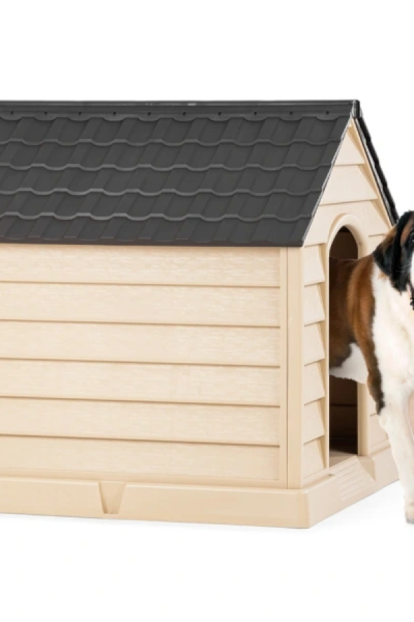 Büyük Köpek Kulübesi