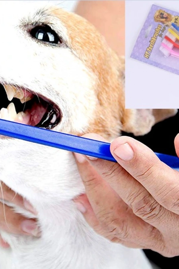 ÇIFT TARAFLI HAYVAN DIŞ FİRÇASI 4 LÜ SET