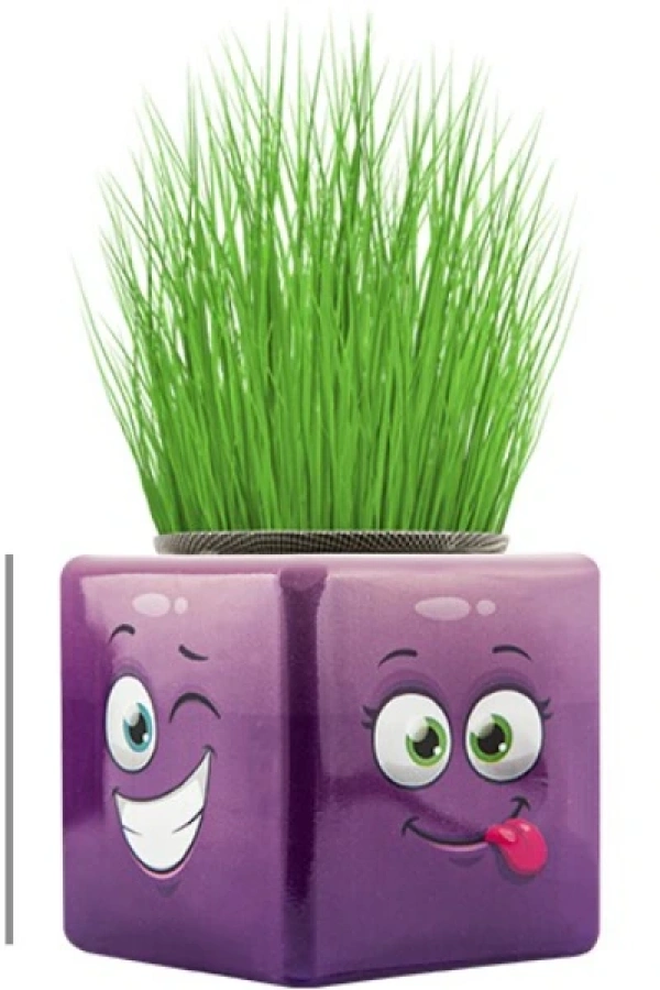 Çim Adam Mini Küp Emoji Figürlü 1 Adet