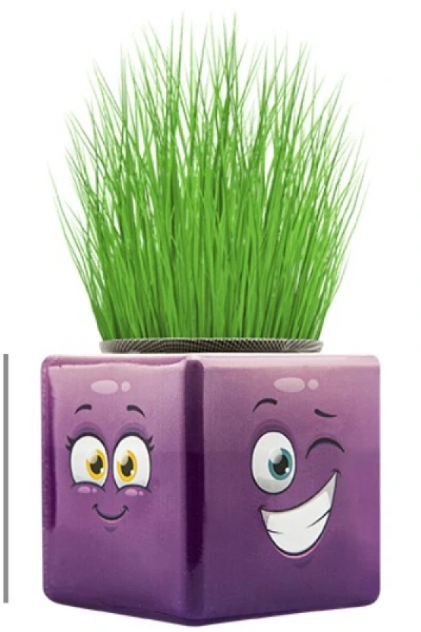 Çim Adam Mini Küp Emoji Figürlü 1 Adet