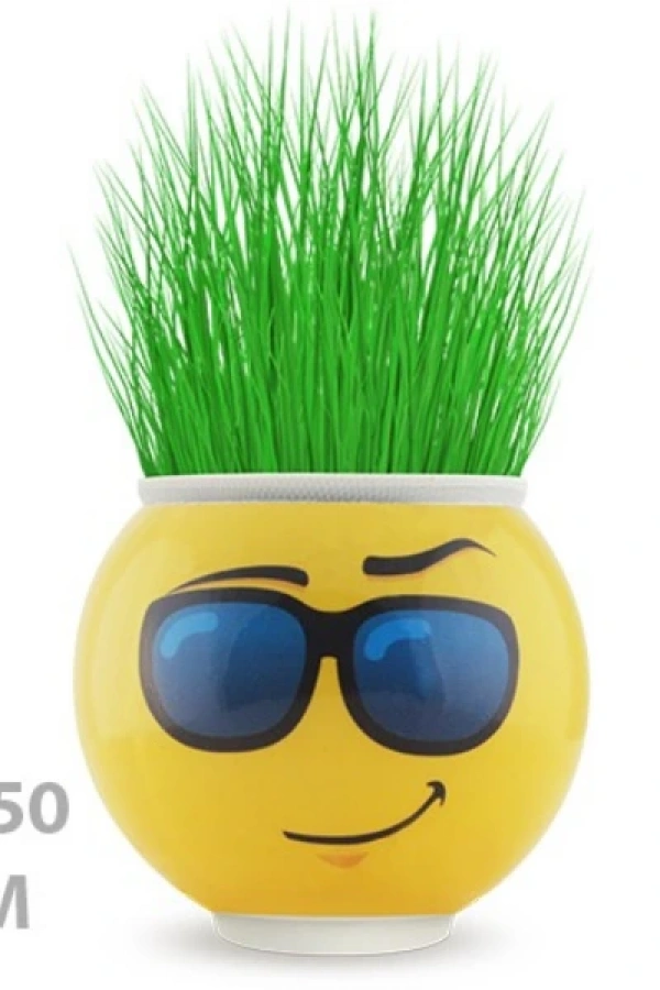 Çim Adam Saksı Emoji Figürlü 1 Adet