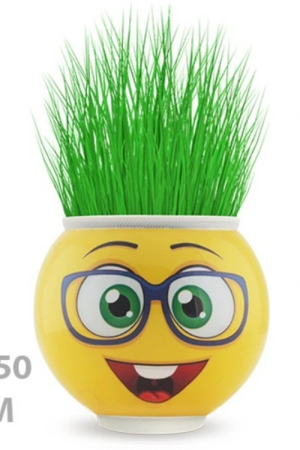 Çim Adam Saksı Emoji Figürlü 1 Adet