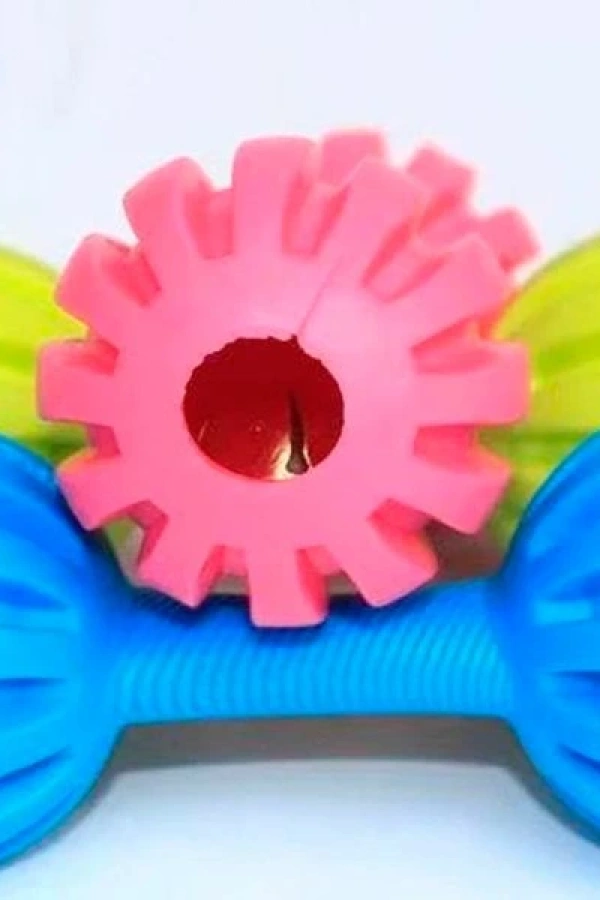 Çıngıraklı Evcil Hayvan Oyuncağı