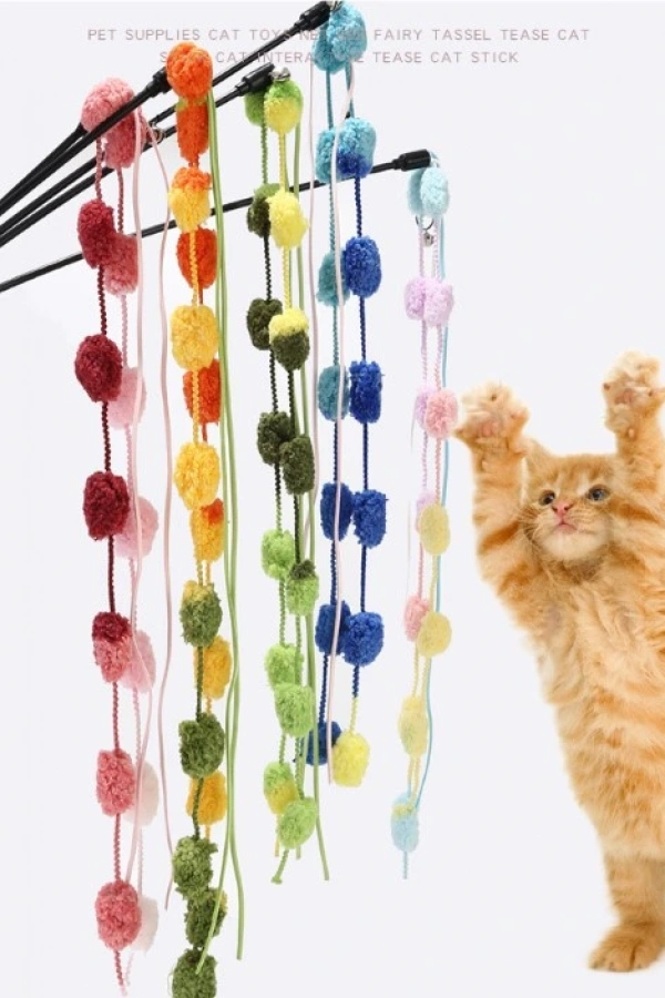 ÇINGIRAKLI KEDİ OYUN OLTASI