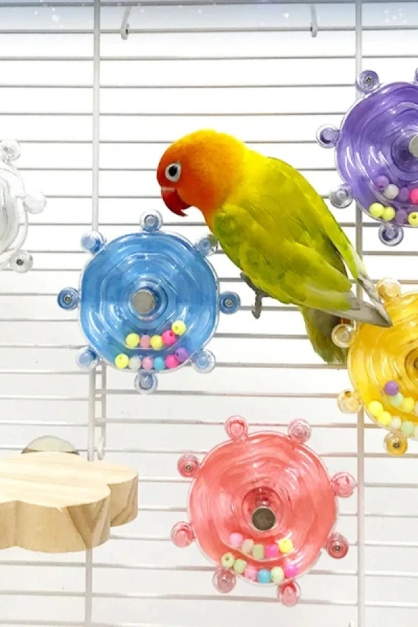 Çıngıraklı Kuş Kafesi İçin Çark Oyuncağı