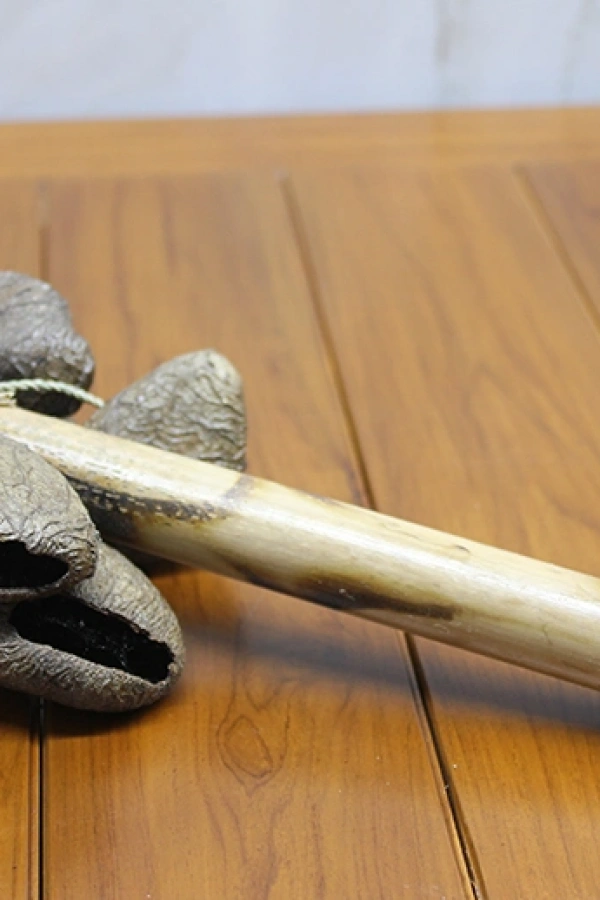 Coconat Sarkaçlı Marakas Model 1