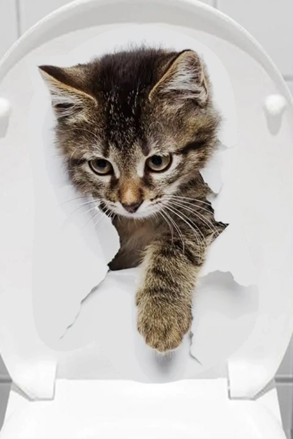 Decohandy Klozet Etiketi Stray Cat