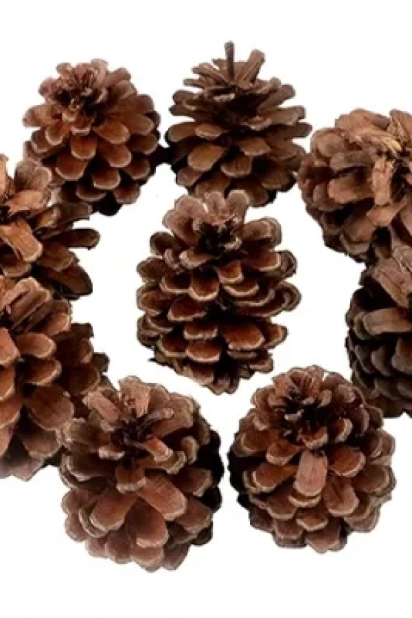 Dekoratif Çam Kozalak Süs - 250gr -