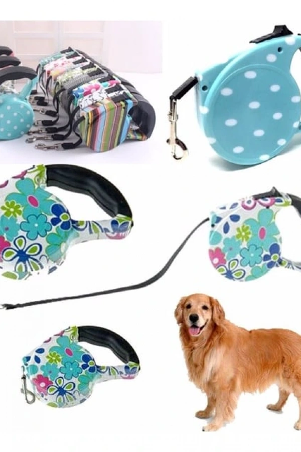 Desenli Köpek Tasması - Pup Style