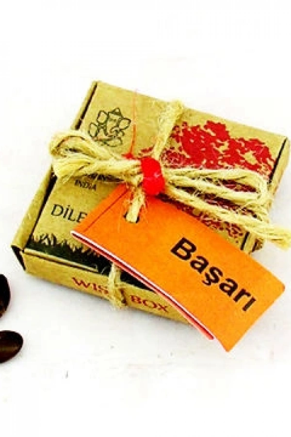 Dilek Tohumları - Başarı