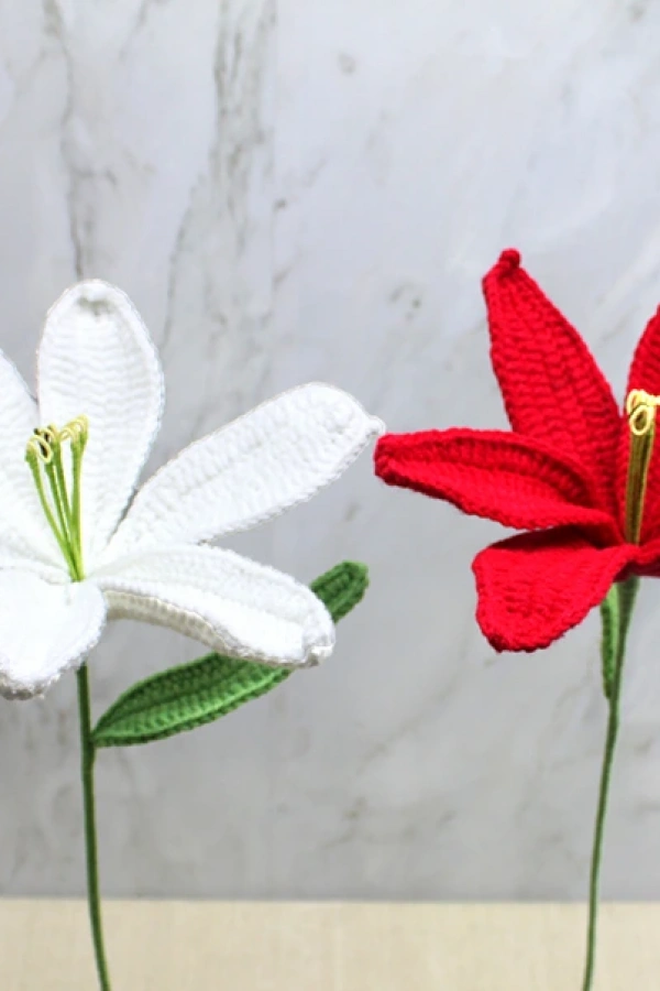 El Örgüsü Zambak Çiçeği