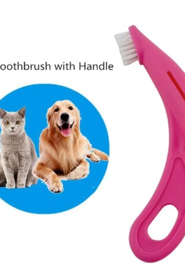 Ergonomik Evcil Hayvan Diş Fırçası