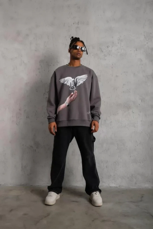 Erkek Güvercin Baskılı Sweatshirt - Gri