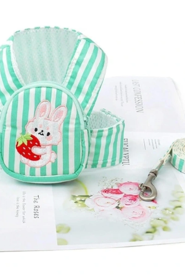 Evcil Hayvan Çantalı Göğüs Gezdirme Tasması Seti