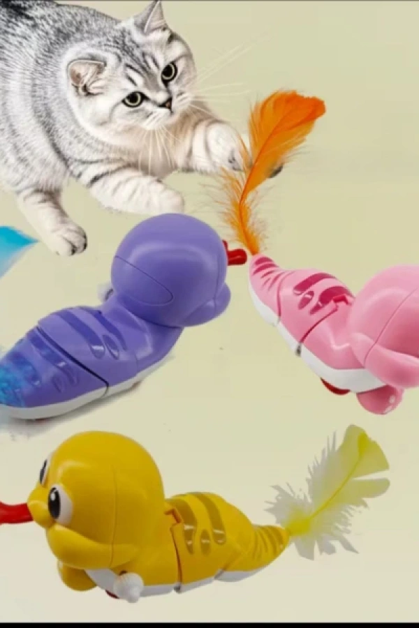 Evcil Hayvan Kedi Kurmalı Salyangoz Oyuncak