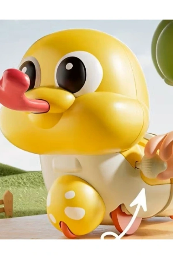 Evcil Hayvan Kedi Kurmalı Salyangoz Oyuncak