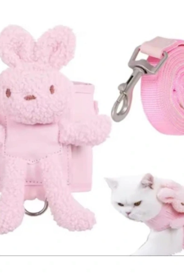 Evcil Hayvan Peluş Ayıcıklı Göğüs Gezdirme Tasması Set