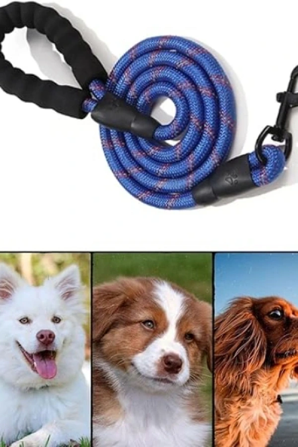 Evcil Hayvan Reflektörlü Fitil Gezdirme Tasması 10 mm x 120 cm