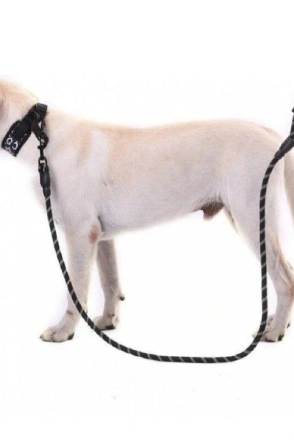 Evcil Hayvan Reflektörlü Fitil Gezdirme Tasması 12 mm x 120 cm