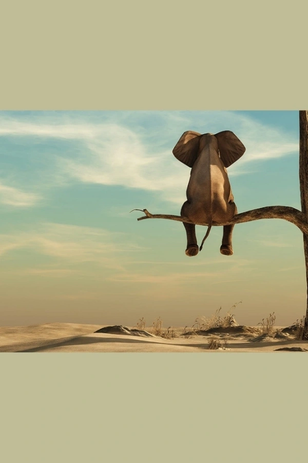 Fil, Çöl ve Kuru Ağaç Retro Kanvas Tablo 60X120