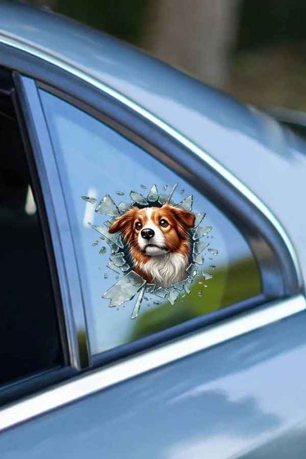 Fulcar Australian Shepherd Araç Stickerı