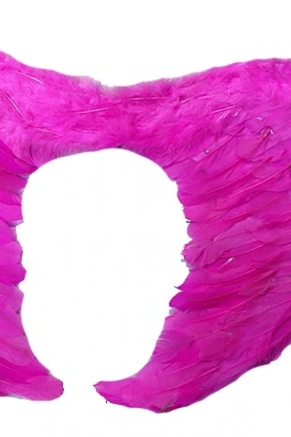 Gerçek Tüylü Katlanabilir Melek Kanadı Seti