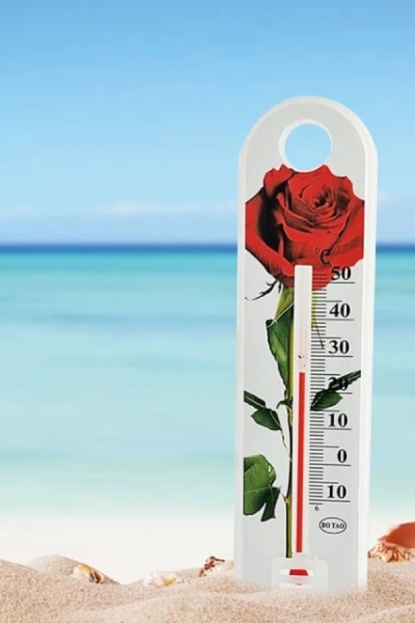 Gül Desenli Termometre