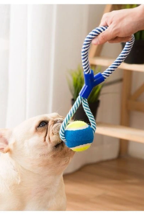 Halatlı Köpek Çiğneme Topu