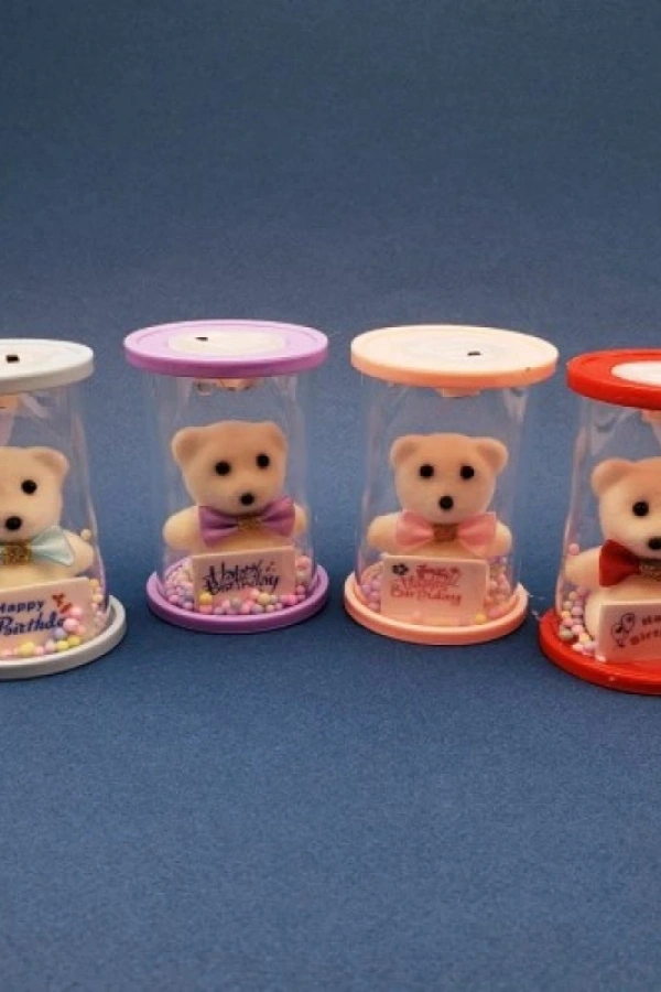 Happy Birthday Işıklı Ayıcık