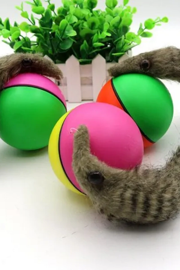 Hareketli Rakun Kedi Köpek Oyuncak