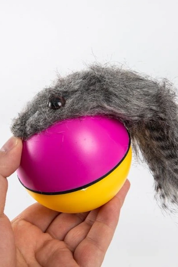 Hareketli Rakun Kedi Köpek Oyuncak