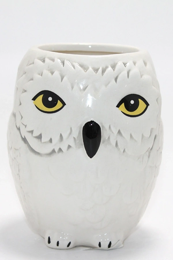 Harry Potter Hedwig Tasarım Porselen Kupa Bardak