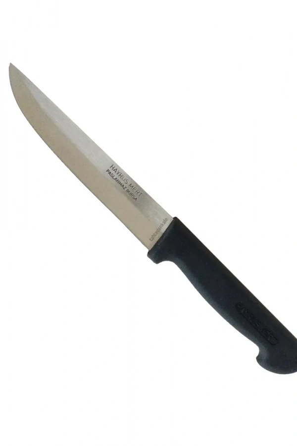 Hayruş Mert Paslanmaz Bursa Mutfak, Ekmek Bıçağı 14 cm, Plastik Sap