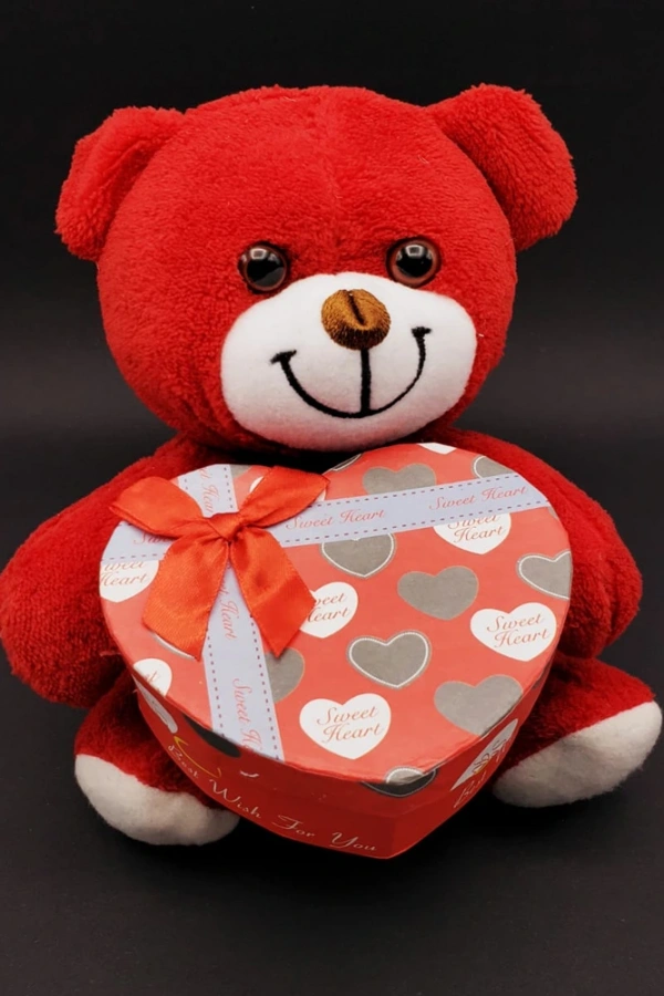 Hediyelik Kırmızı Kutulu Ayıcık