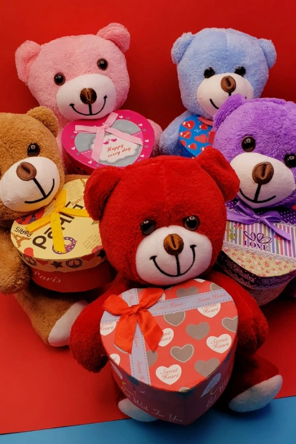 Hediyelik Kutulu Ayıcık