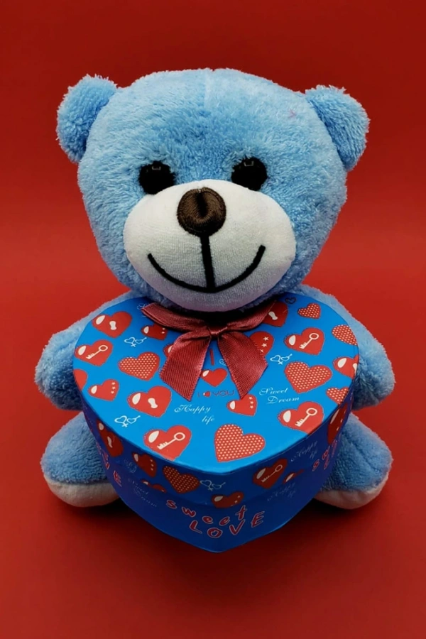 Hediyelik Mavi Kutulu Ayıcık