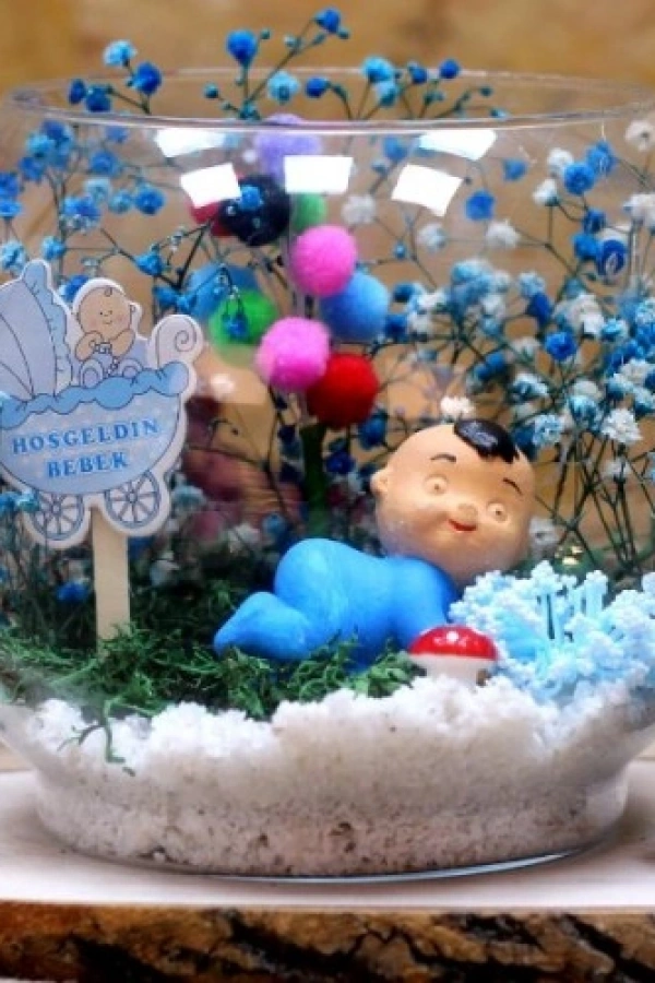 Hoşgeldin Bebek Erkek Teraryum 2